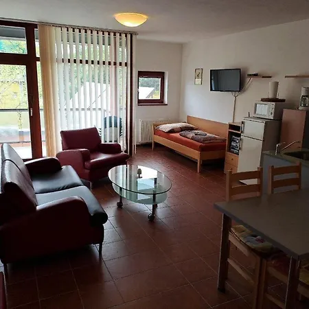Appartement C-3 V Arealu Doky Lipno - Bezbarierovy *