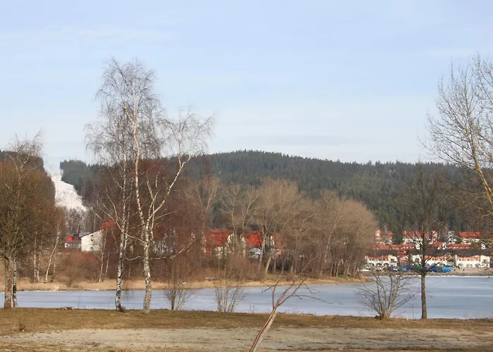 C-3 V Arealu Doky Lipno - Bezbarierovy Lägenhet Lipno nad Vltavou