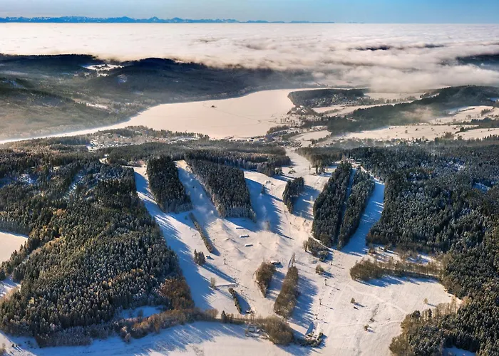 C-3 V Arealu Doky Lipno - Bezbarierovy *